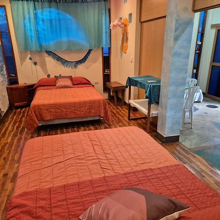 Cozy Hosting Galapagos Apartment Puerto Ayora  Ngoại thất bức ảnh